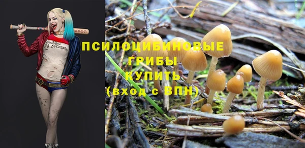 спиды Алексин
