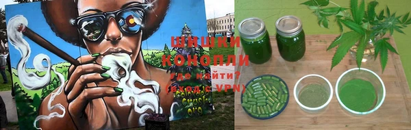 спиды Алексин